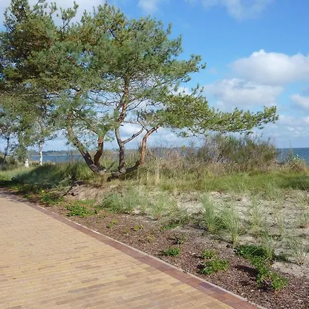 Casa vacanze Seehund Comfortable *